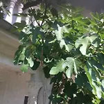 In Вилла